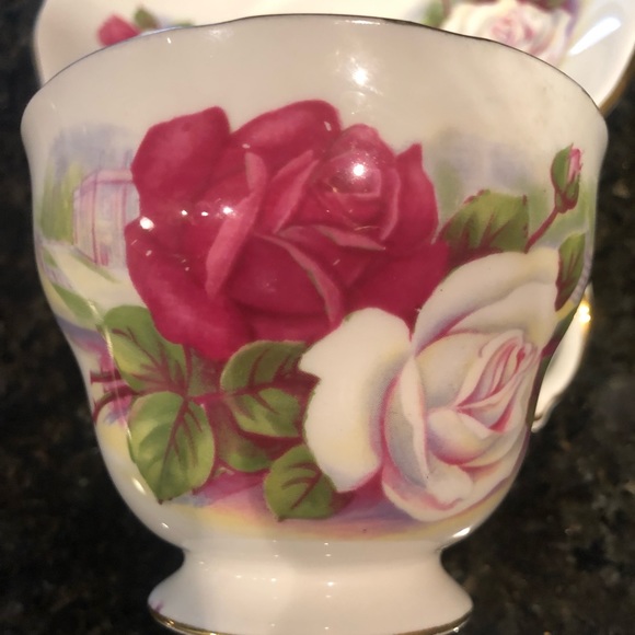 Vintage Royal Osborne Roses Pattern Bone China Teacup and matching Saucer #8205 - Picture 4 of 7